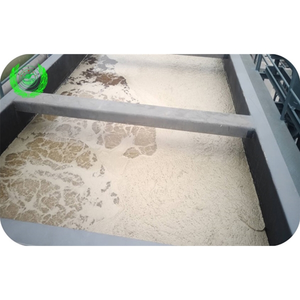 三項(xiàng)渦流氣浮運(yùn)行效果